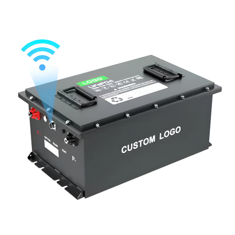 Golf Cart Battery Customized